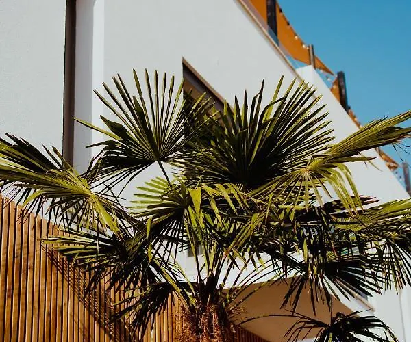 Albergue The Salty Surf & Yoga Ferrel (Leiria)